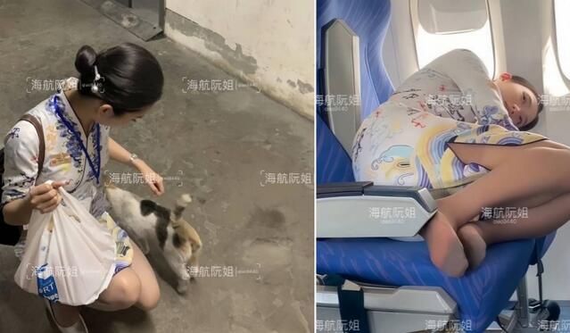 空姐性感女神『海航阮姐』粉丝接机撕开丝袜被揉捏着…交合处拍的好清晰